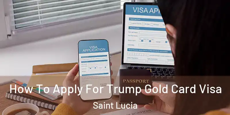 How To Apply For Trump Gold Card Visa Saint Lucia